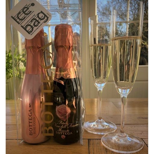 [BotticeGift20cl] Bottega Prosecco & Sparkling wines in gift bag